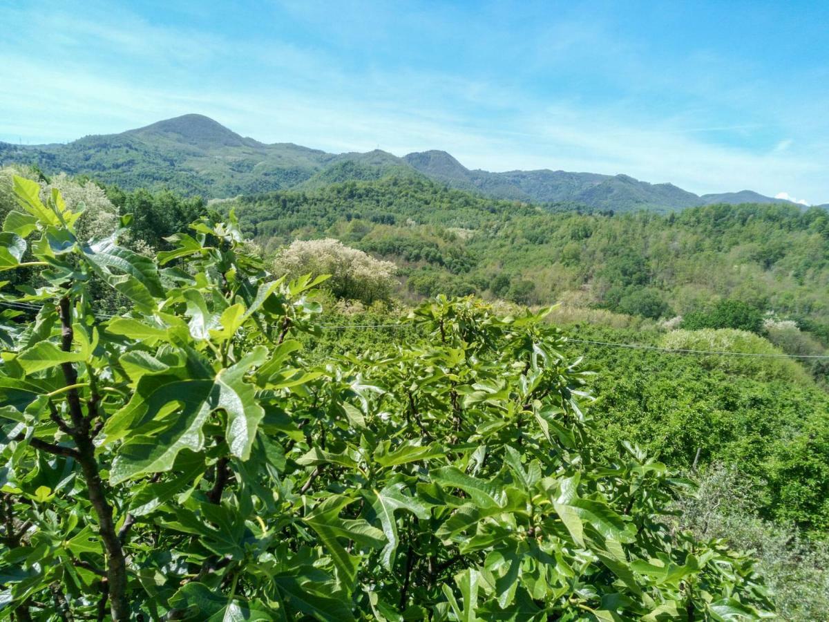 Il Melo Villa Fivizzano Bagian luar foto